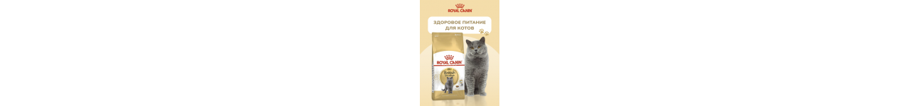 Лечебные корма для кошек