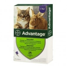 Bayer Advantage 80 (Адвантейдж) капли п\п для котов более 4кг.