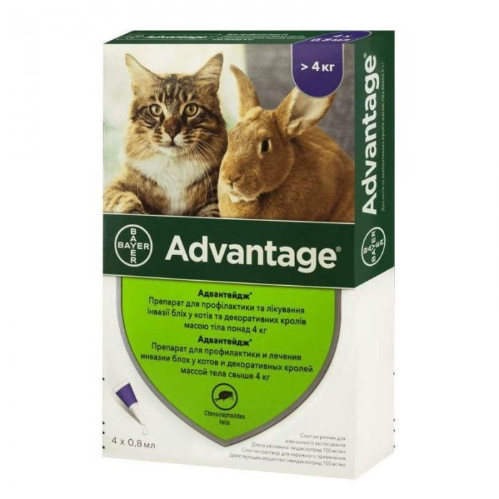 Bayer Advantage 80 (Адвантейдж) капли п\п для котов более 4кг.
