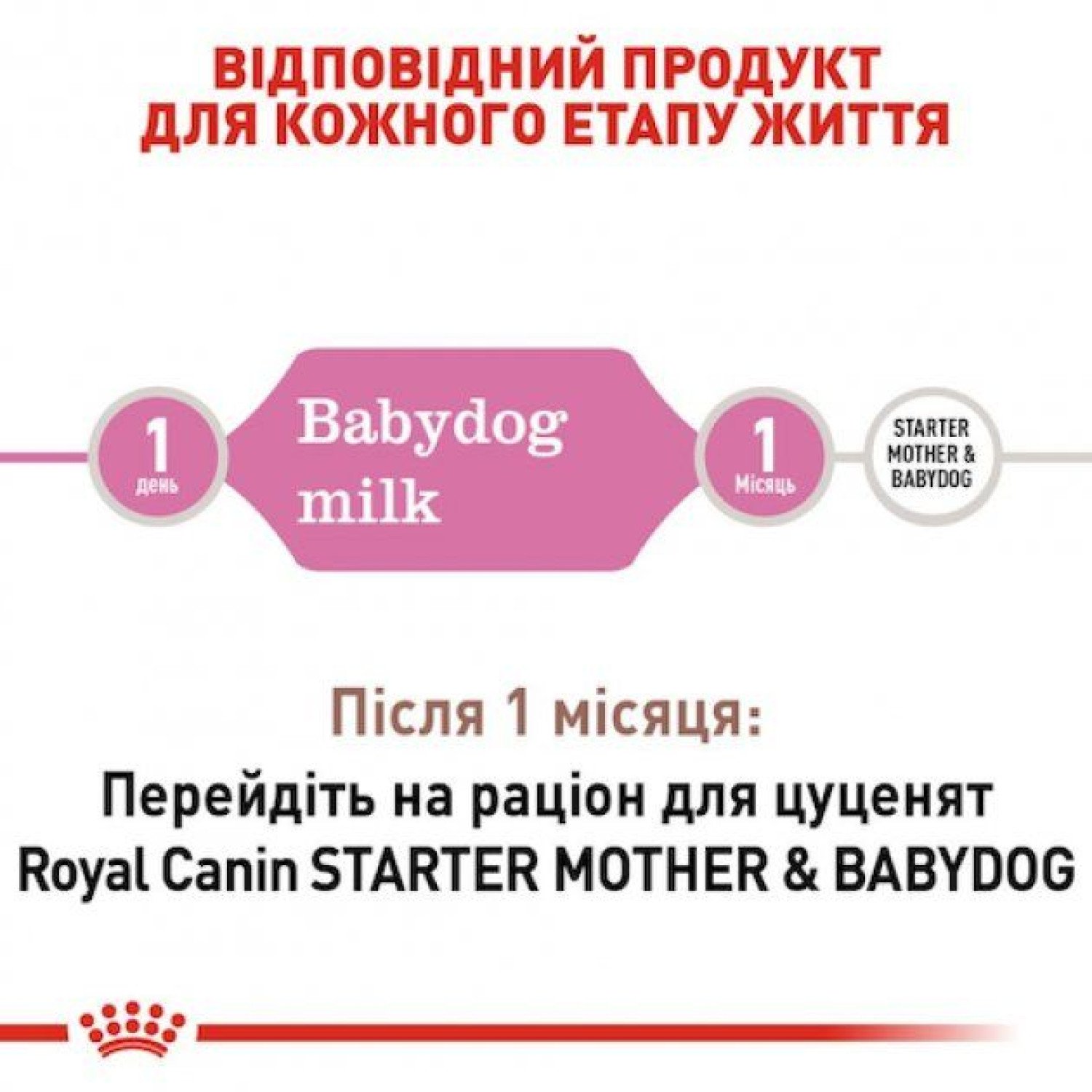 ROYAL CANIN BABYDOG MILK заменитель молока для щенков 2 кг