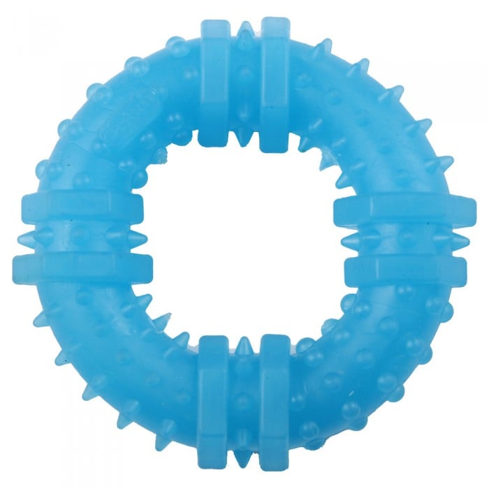 AGILITY игрушка для собак кольцо с шипами (голубой) 12 см