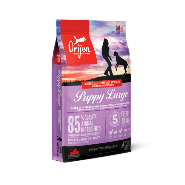 Orijen Puppy Large Breed сухий корм для цуценят великих порід з куркою та індичкою 11,4 кг