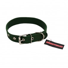 Пухнастики брезентовый ошейник для собак 25 мм, 49 см  (зеленый) L