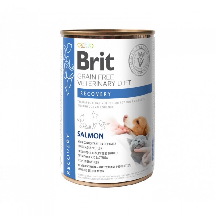 Brit GF Veterinary Diets Recovery вологий корм з лососем для собак і котів 400 г