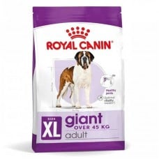 ROYAL CANIN GIANT ADULT cухий корм для дорослих собак Гігантських порід від 18/24 місяців 15 кг