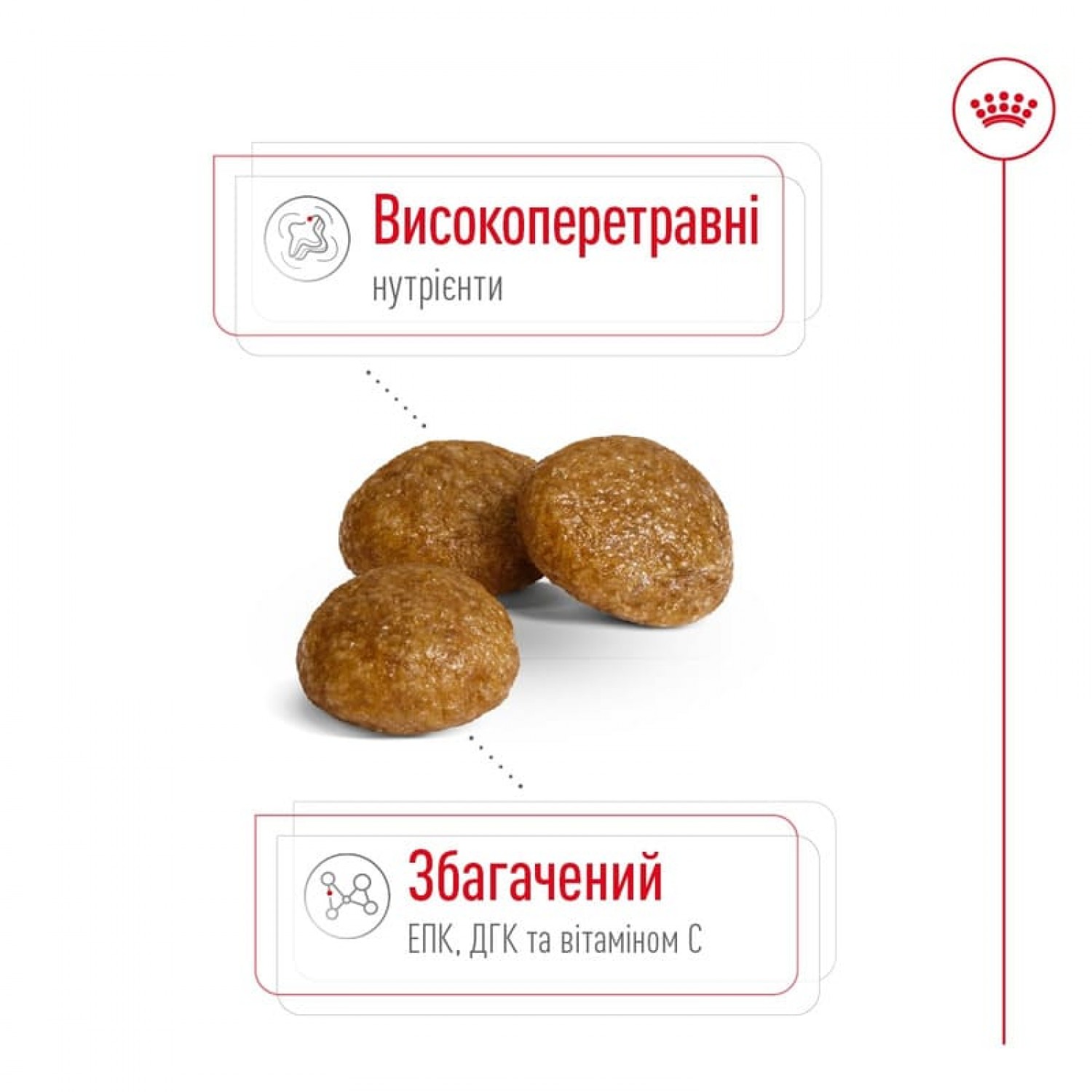 ROYAL CANIN XSMALL ADULT сухий корм для собак мініатюрних порід