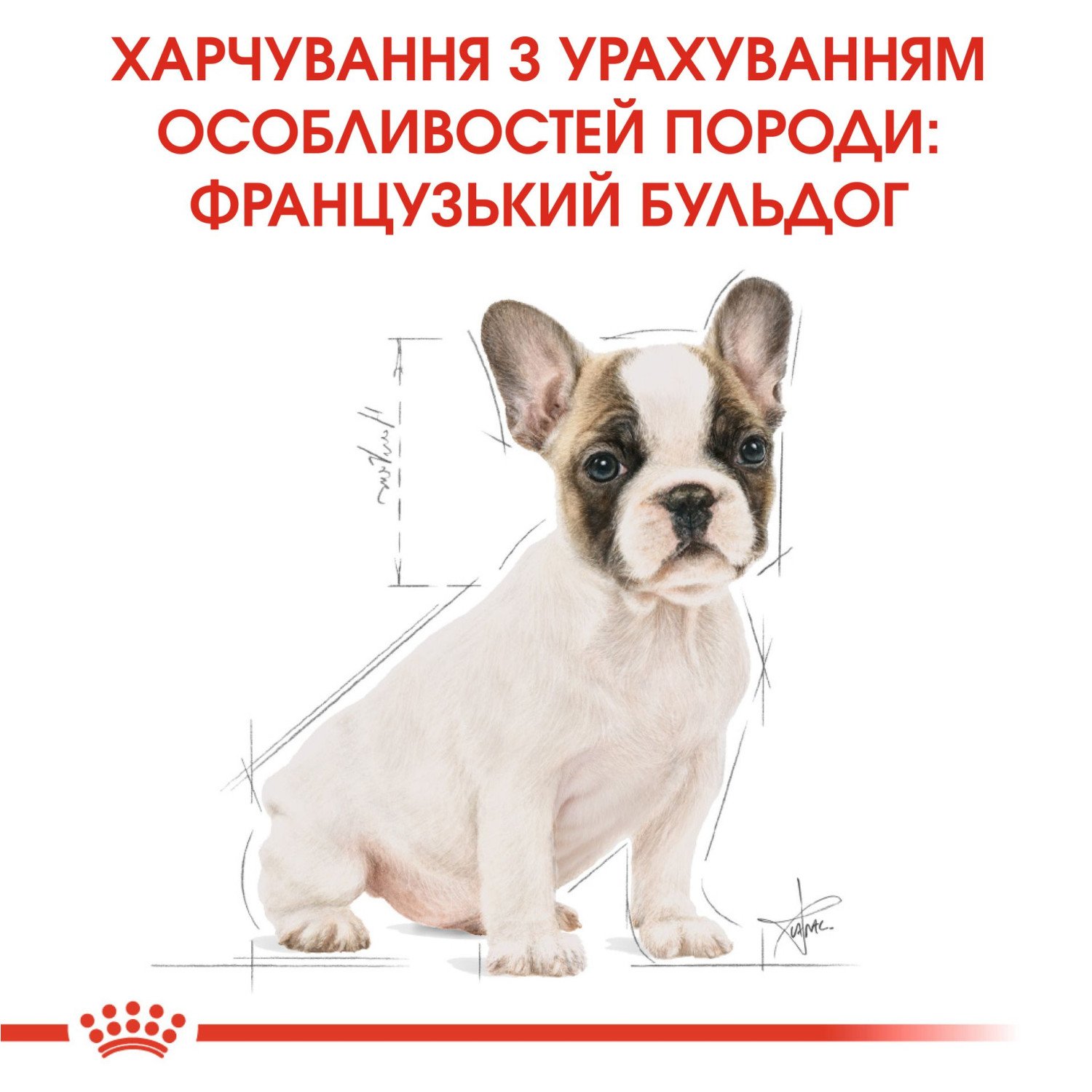 ROYAL CANIN FRENCH BULLDOG PUPPY cухой корм для щенков породы французский  бульдог возрастом до 12 месяцев 1 кг