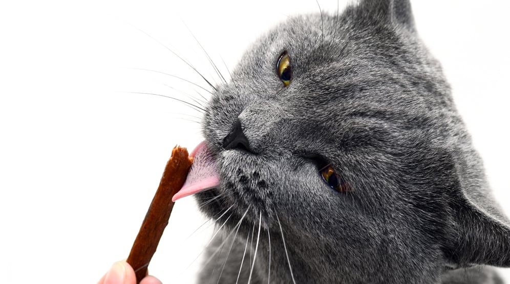 Лакомства для кошек 